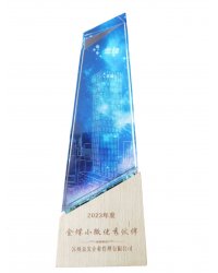 金蝶小微優(yōu)秀伙伴2023年度